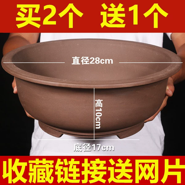 [28cm紫泥大花盆买2送1♢]