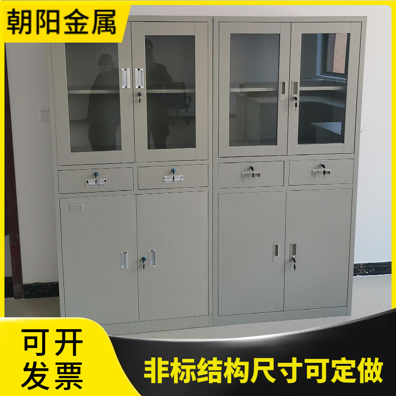 江苏优质冷轧钢玻璃可视化文件柜加厚钢制双开门办公室档案摆放柜