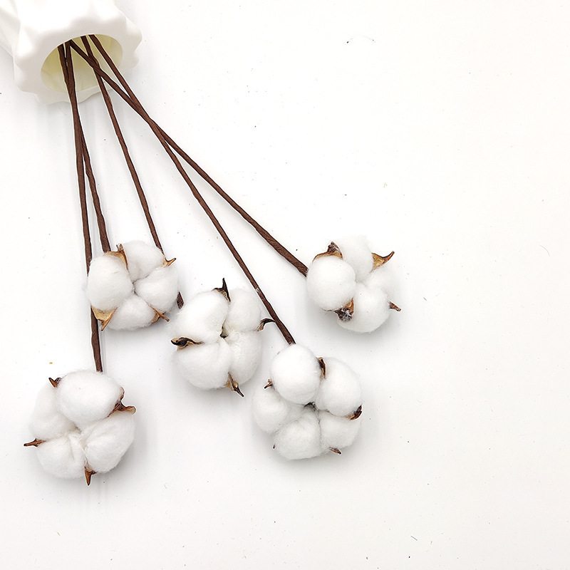 綿の乾いた花の花束の卸売りの永遠の花の装飾の撮影の道具は花のdiyのクリスマスの色の綿の乾いた花をシミュレーションします。|undefined
