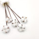 Cotton Dried Flower bouquet wholesale eternal flower decoration shooting props simulation flowers DIY Christmas color cotton dried flowers