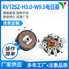 RV12SZ-H.O���_�P�λ��,̼Ĥ ���D �����P �NƬ ���{�λ��