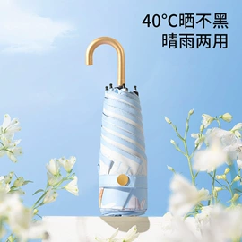 晴雨伞;雨伞;高尔夫伞