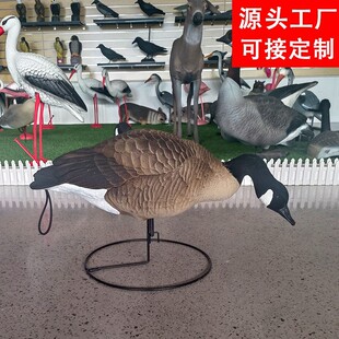 ���R�d�羳���N���Z�[�����S�ɶ���PE���|���ܹ�ˇ�e��ͥԺ�b�