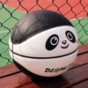 Pier basketball