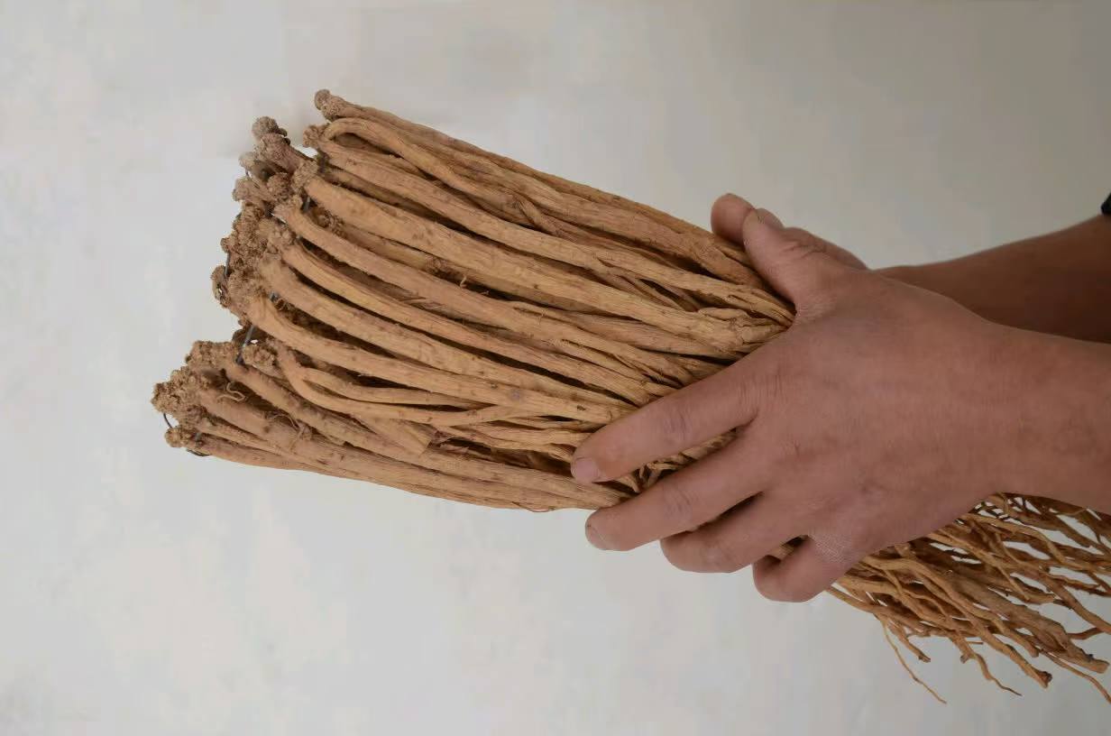 Gansu-Origin Codonopsis Root, New Stock, Sulfur-Free, Sun-Dried, Authentic Selected Chinese Medicinal Herb, Medium-Sized Codonopsis Root detail image