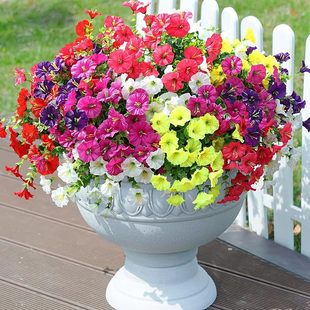 ���쁆�R�d���滨�ȼ���������ţ�����Ȳ����Ҿ��҃ȑ��⻨�@�b�