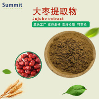 源头工厂现货销售多规格大枣提取物水溶性药食同源固体饮料大枣粉