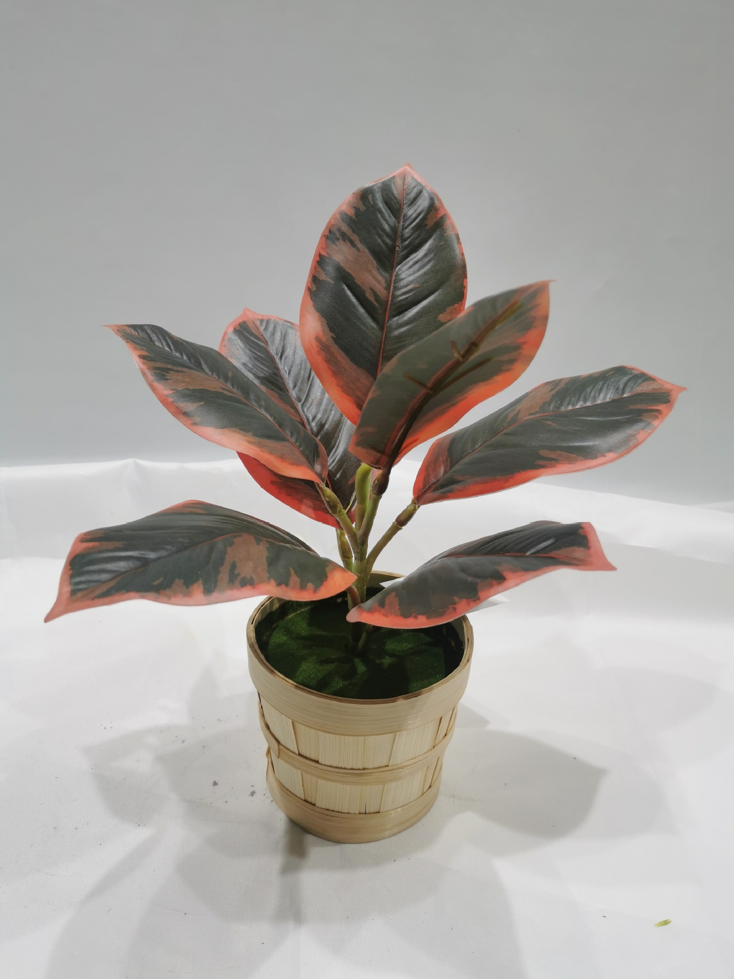 La fábrica se especializa en el suministro de productos de jardinería de plantas verdes