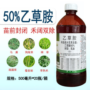 �|�ɖ|�w50%�Ҳݰ������޻��ﴺ�������Ͳ�����ǰ���]���݄��rș