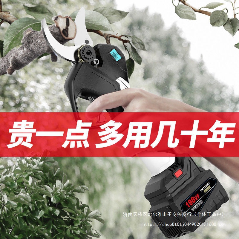 德国电动修枝剪刀果树剪充电式无线锂电园艺园林树枝电动剪刀