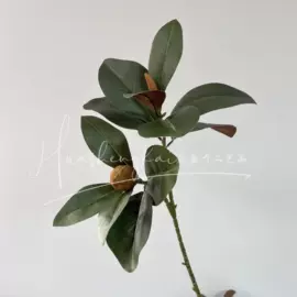 仿真花;仿真绿植;仿真玫瑰