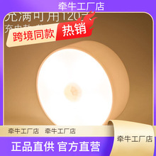 Motion Sensor LED Night Light USB Rechargeable LampБ