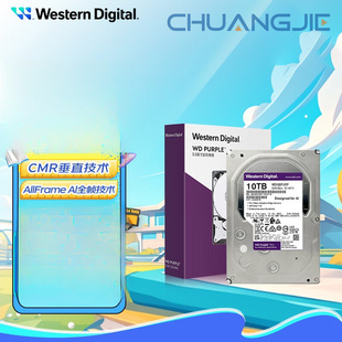 10Tb Surveillance Grade Hard Drive Wd Purple Purple Pro7200 to 512Mb Ai Technology Wd102Purp