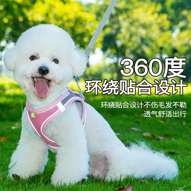 Рюкзак для домашних животных Рюкзак для собак