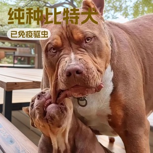 ���N������Ȯ����������ͱ���Ȯ���w��Ȯ���CȮ�o�lȮ����ȮС��