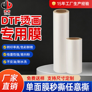 DTF��ī�C��Ĥ���DӡĤ���aӡ������ PET��ӡĤ��˺����S�����l