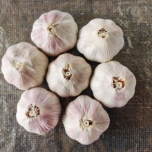 ɽ�|���|�tƤ��Ʒ����