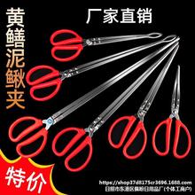 �S�X�A�X�~�Q���~�����q�з���r�Q���s���A��׽�~��ץ���s���A