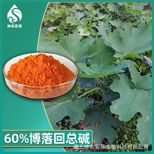����ؿ��|60%��ȡ��Ѫ���|40%�����˼t�|20%�F؛����