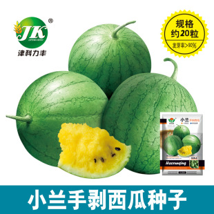 Դ�^�S�����l����С���ϷN���S�ľGƤ�A���ք��ļ��YƷ���ϷN����