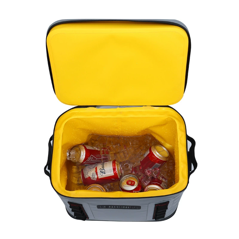 Suitcase, capacious universal cooler bag, removable picnic bag