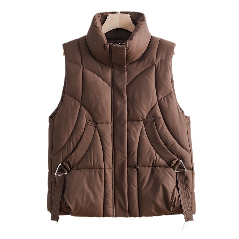 Chaleco de algodón de pluma para mujeres 2024 otoño y invierno nuevo estilo coreano de algodón suelto hombro chaleco de algodón de color sólido chaleco image 6