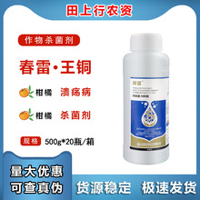 众和 铜雷 30%春雷·王铜 春雷霉素柑橘树水果农药杀菌剂