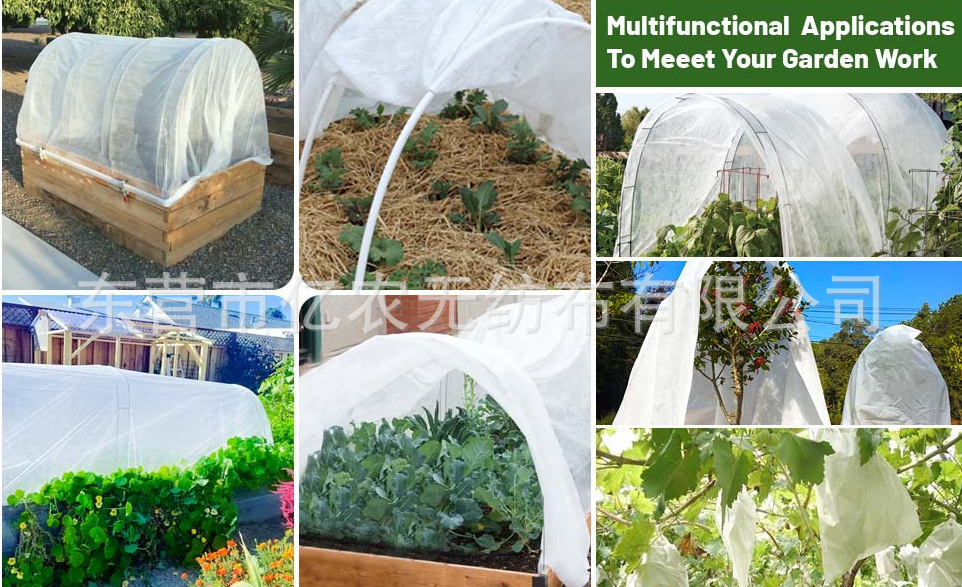 O1CN01MSW2ax1bWgWWNVz2o_!!2924243473-0-cib.jpg?__r__=1725867508630