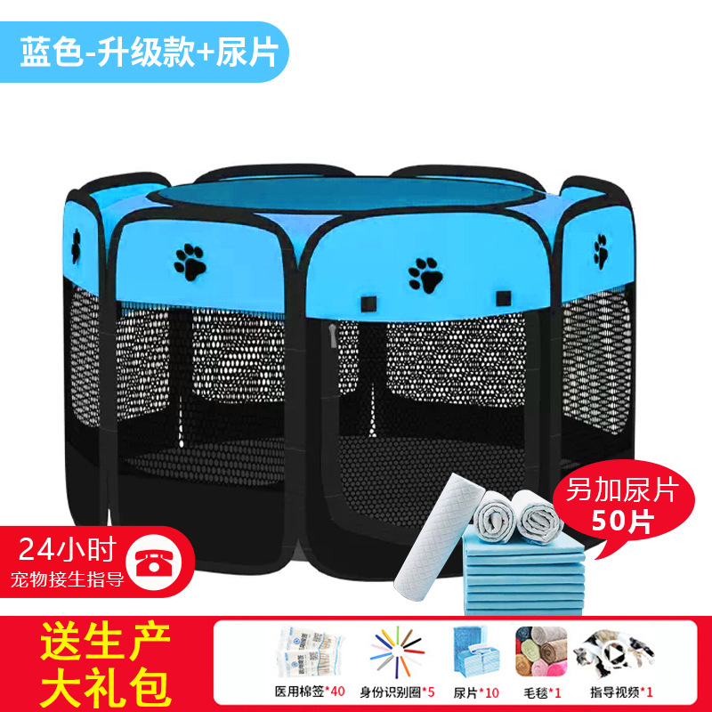 블루 + 일반 산모 가방 + 기저귀 50개