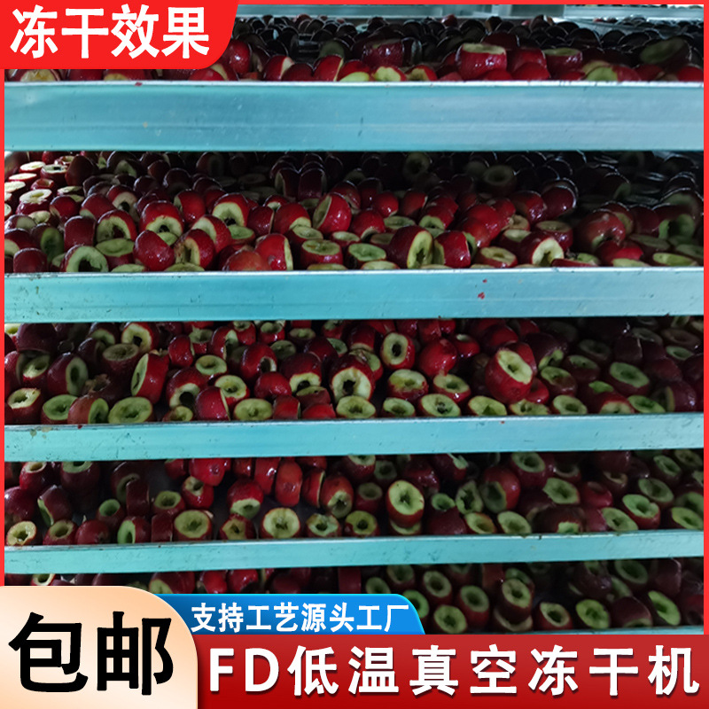 30平方冰糖葫芦山楂FD食品冻干机 50平方米鸡肉丁真空冷冻生产线