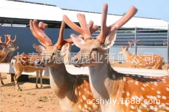 微信图片_20220527112058