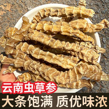 云南顶天柱野生虫草参中药材干货地参虫参新鲜煲汤泡茶泡酒料正品