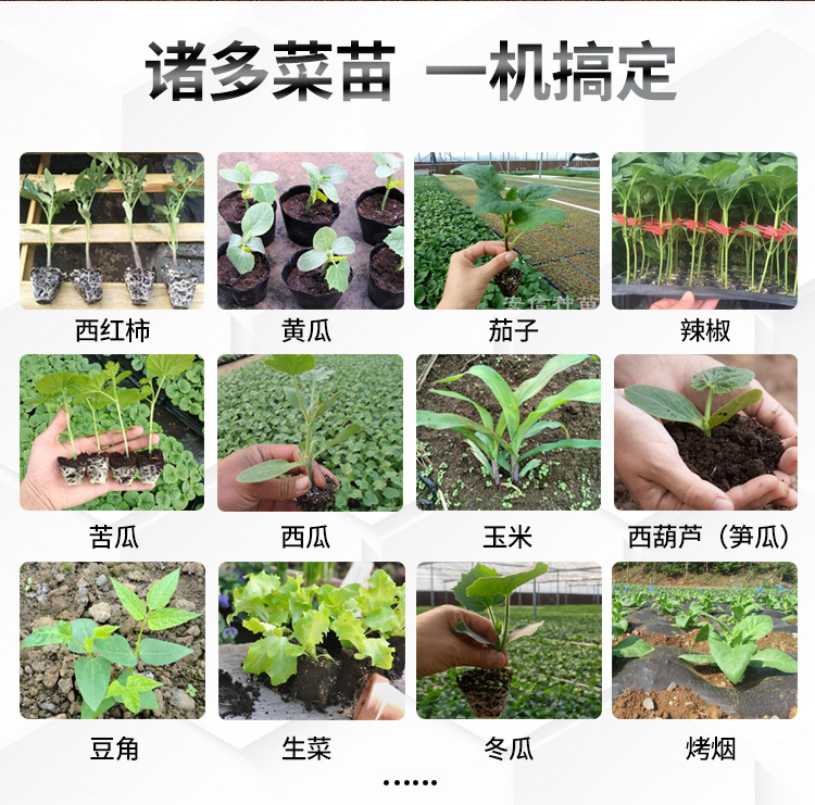 微信图片_20210322171104.jpg
