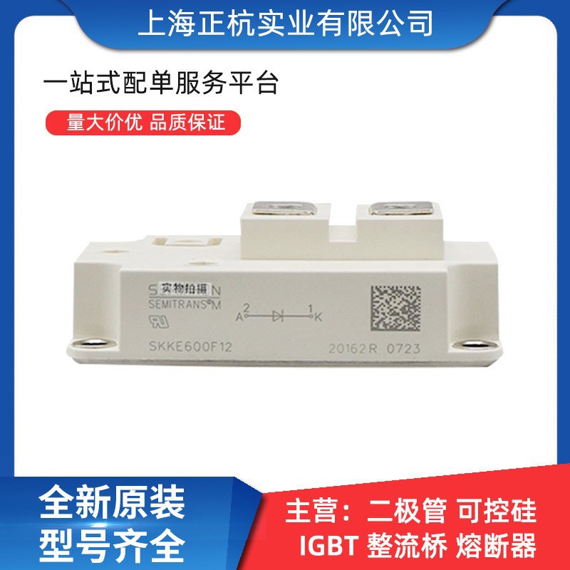 SKKD46/06     SKKD46/08 肖特基二极管 全新原装 电子元器件