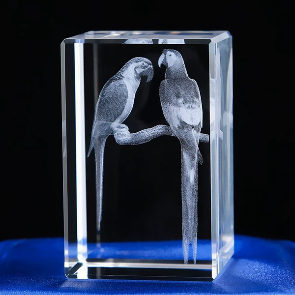 Macaw
