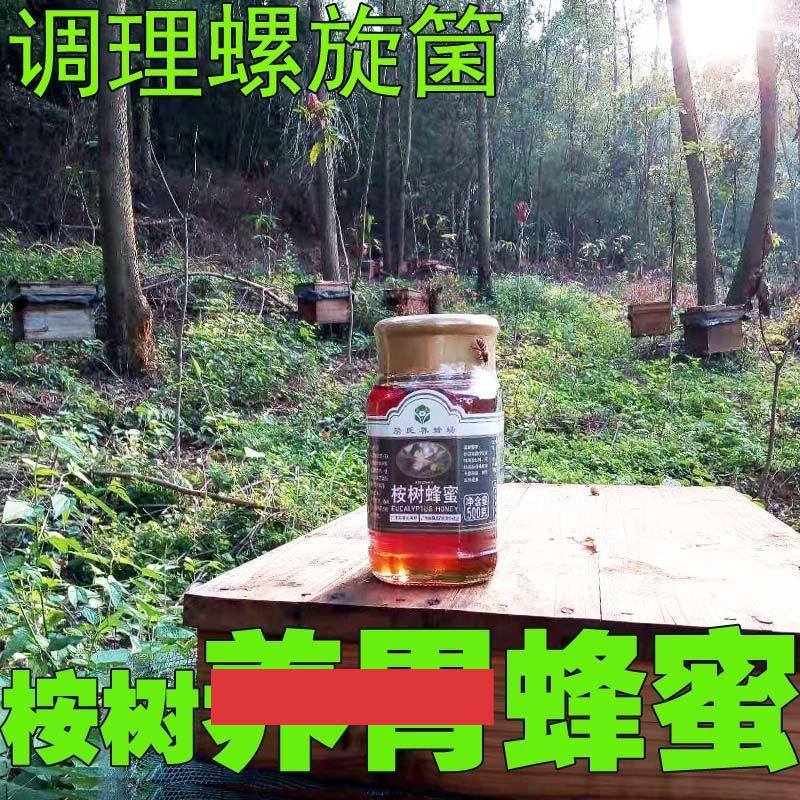 桉树蜂蜜天然农家土纯峰糖詹氏红柳结晶蜜螺旋杆养/胃茶菌食品