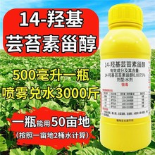 树荣菁田14羟基芸苔素甾醇云台素内脂植物生长调节剂水稻麦叶面肥