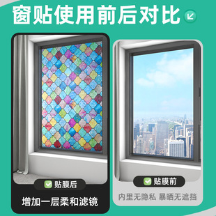 �Ų��D��Ĥ�o����z͸�ⲻ͸�������NĤ�ڹ���Q�����N�����l