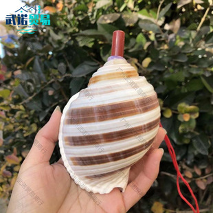 ��Ȼ����̖�ǿɴ����ȿ��ڳ���ؐ�����Ӄ�ͯ�����С��̖�ܴ�푵�