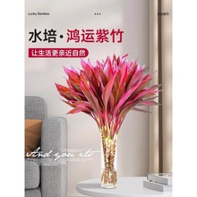 �������\���^���F��ˮ��ֲ��֗U�����͏d��ؔ�����҃Ⱥ��B���