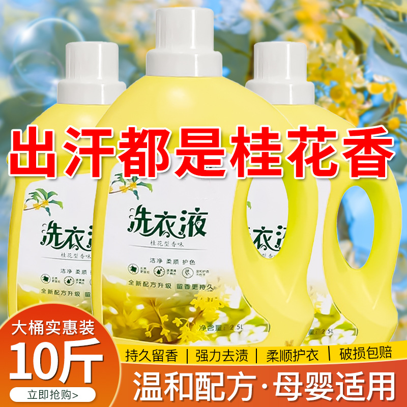 Osmanthus Laundry Detergent Fragrance Lasts for 72 Hours, Official Authentic Brand Large Barrel with Strong Decontamination Ability