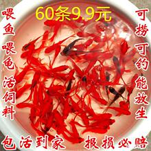 ������С�~��ˮ���B���ͻ����ˮ�~�^�p�~����С���~���~��һ��