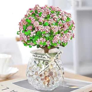 Indoor Green Plants, Lazy Hydroponic Plants and Flowers, Office Fortune-Making Living Room, Formaldehyde Absorption