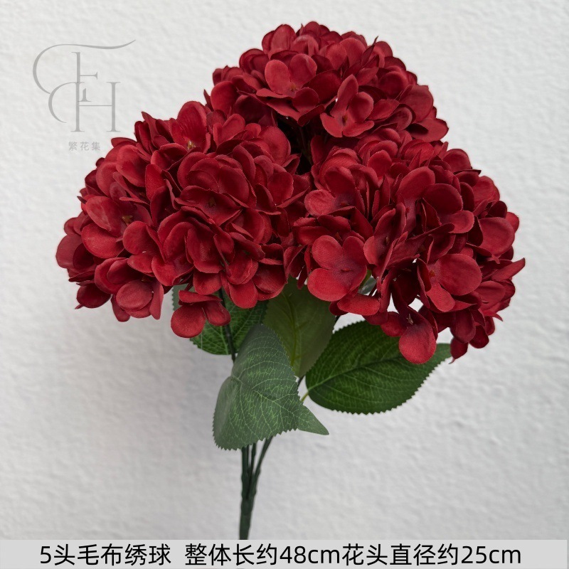 Hortensia de cinco cabellos