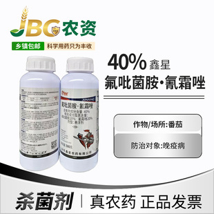 ���� 40%��������&middot;��˪�� �������� ������500g