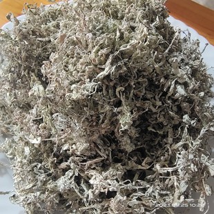 �ٲ�ݮ��ѿ��ݮ���ٲ���ѿϪ�S�ݰײ�