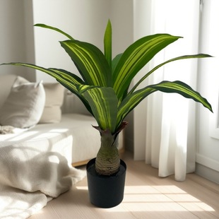 �羳���N�����Gֲ�����F������渻�F�~�҃��b[���������ľ