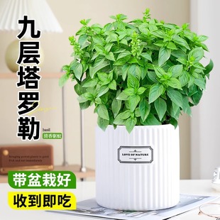 �Ō������Կ�ʳ�����r���~�_���҃�ͥԺ����Ե����ϾGֲ��𲻓Q