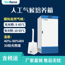 �˹�������B��BOD΢�����Ґa�ؐa���˹�������B��