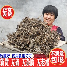 马齿苋干晒干蚂蚱菜野生马齿菜干菜马齿笕干品马蜂菜马齿汗包邮